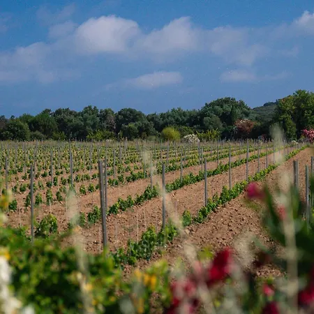 Mediterranean 6bd 12p South Of * Saint-Tropez